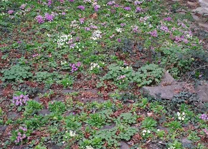 Bright In Doktorska Gradina アパート *